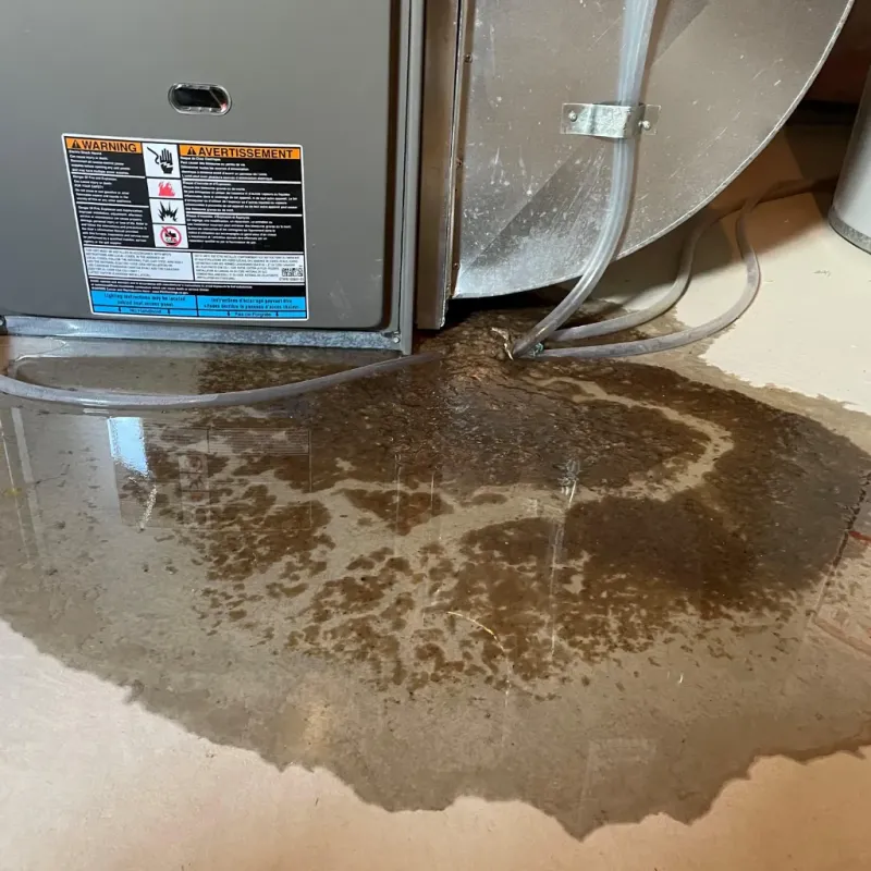 Appliance Leak Cleanup in Ransom County, ND